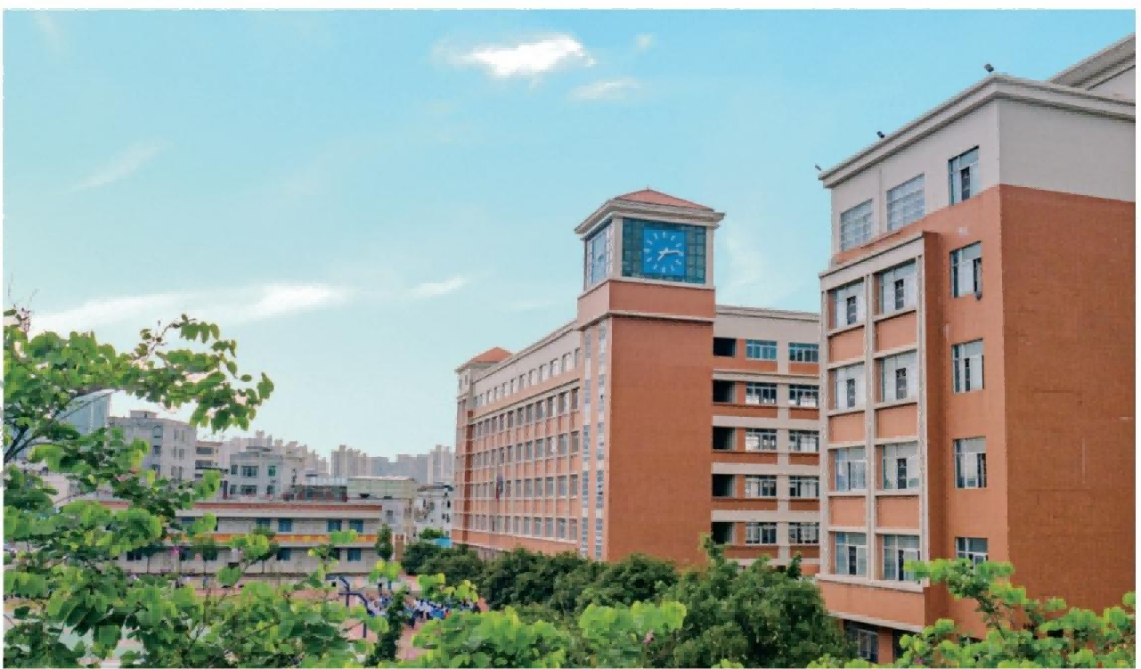 九年一贯制民办学校本地化曝光 案例配图